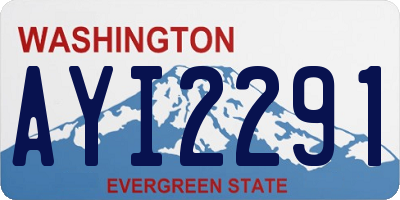 WA license plate AYI2291