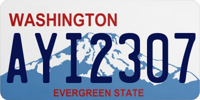 WA license plate AYI2307