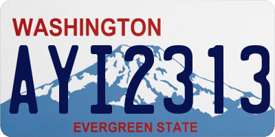 WA license plate AYI2313
