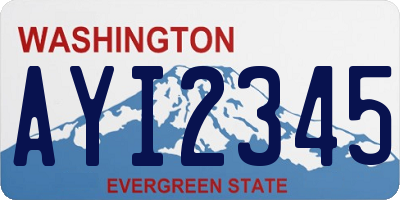WA license plate AYI2345