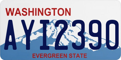WA license plate AYI2390