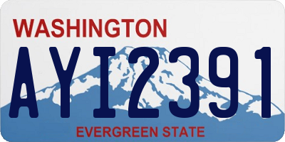 WA license plate AYI2391