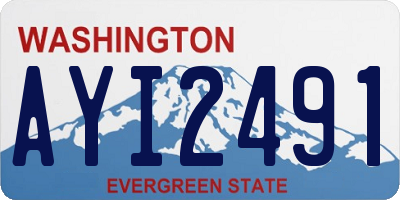 WA license plate AYI2491
