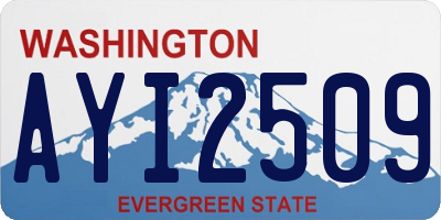 WA license plate AYI2509