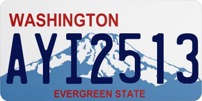 WA license plate AYI2513