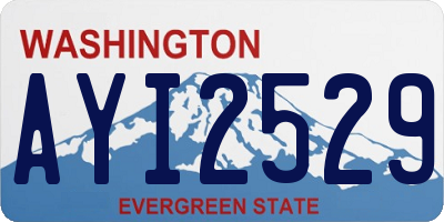 WA license plate AYI2529