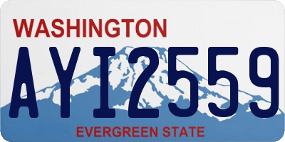 WA license plate AYI2559
