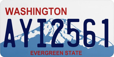 WA license plate AYI2561