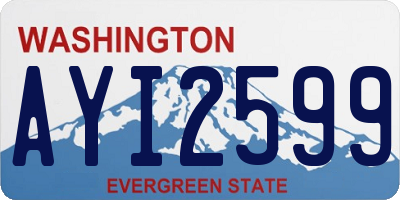 WA license plate AYI2599