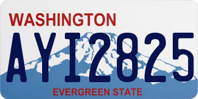 WA license plate AYI2825
