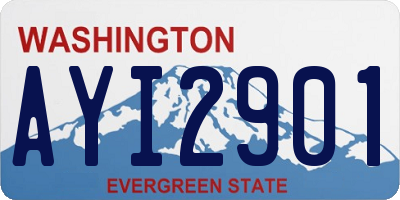 WA license plate AYI2901