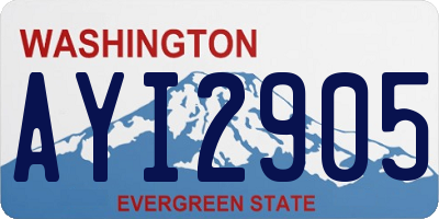 WA license plate AYI2905