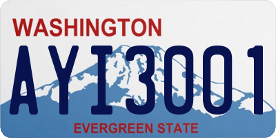 WA license plate AYI3001