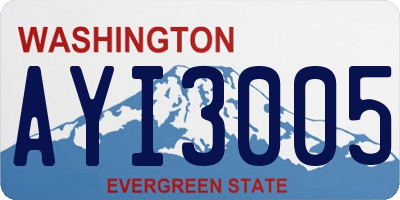 WA license plate AYI3005