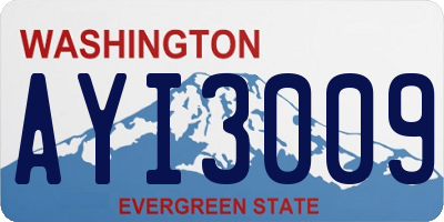 WA license plate AYI3009
