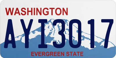 WA license plate AYI3017