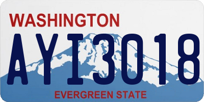 WA license plate AYI3018