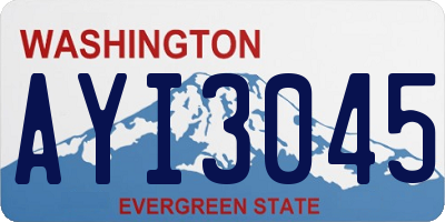 WA license plate AYI3045