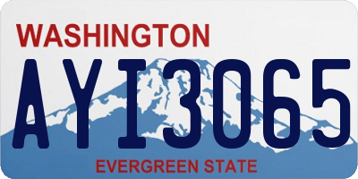 WA license plate AYI3065