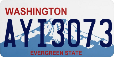 WA license plate AYI3073