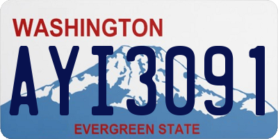 WA license plate AYI3091