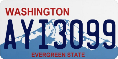 WA license plate AYI3099