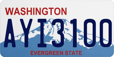 WA license plate AYI3100