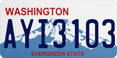 WA license plate AYI3103