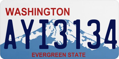 WA license plate AYI3134