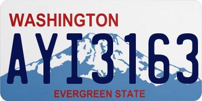 WA license plate AYI3163
