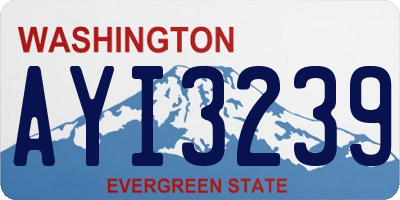 WA license plate AYI3239