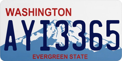 WA license plate AYI3365