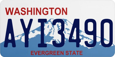 WA license plate AYI3490