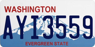 WA license plate AYI3559
