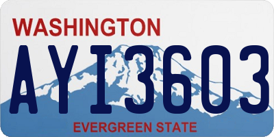 WA license plate AYI3603