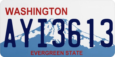 WA license plate AYI3613