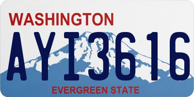 WA license plate AYI3616