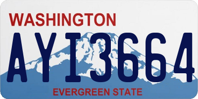 WA license plate AYI3664
