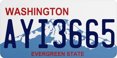 WA license plate AYI3665