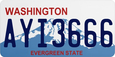 WA license plate AYI3666