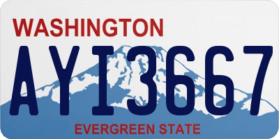 WA license plate AYI3667