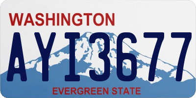 WA license plate AYI3677