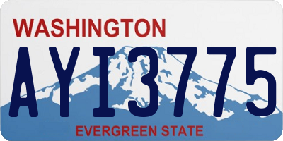 WA license plate AYI3775