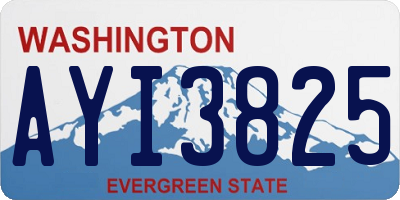 WA license plate AYI3825
