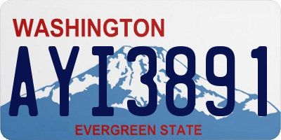 WA license plate AYI3891