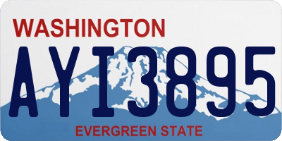 WA license plate AYI3895