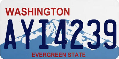 WA license plate AYI4239