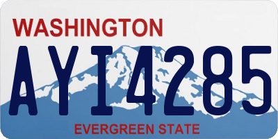 WA license plate AYI4285