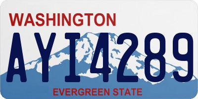 WA license plate AYI4289