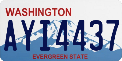 WA license plate AYI4437